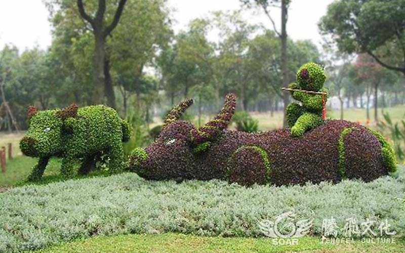 植物綠雕制作時(shí)間植物選擇及維護(hù)事項(xiàng)